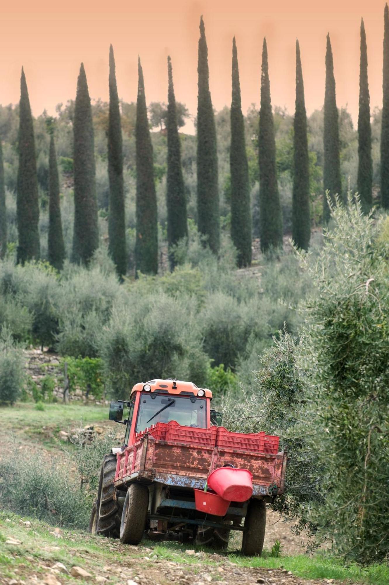 La Valletta Boutique Wine Estate Panzano in Chianti Exterior photo